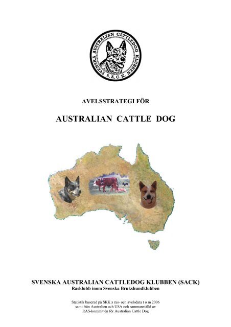 AUSTRALIAN CATTLE DOG - wildartnet