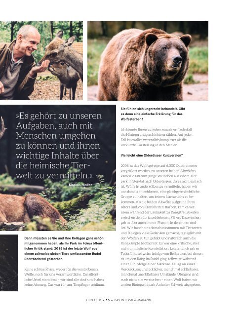 Liebefeld Magazin 11.2016