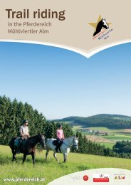 Pferdereich-Broschuere_29-11
