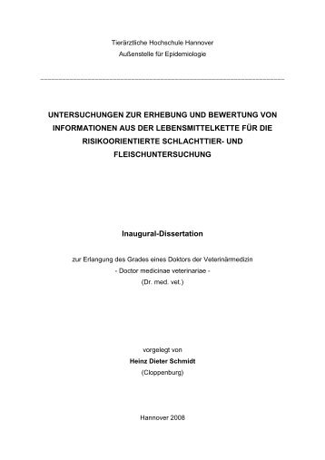 Heinz Dieter Schmidt (Dissertation Hannover 2008)