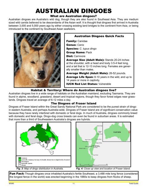 Wild Spirit Wolf Sanctuary Educational Field Guide