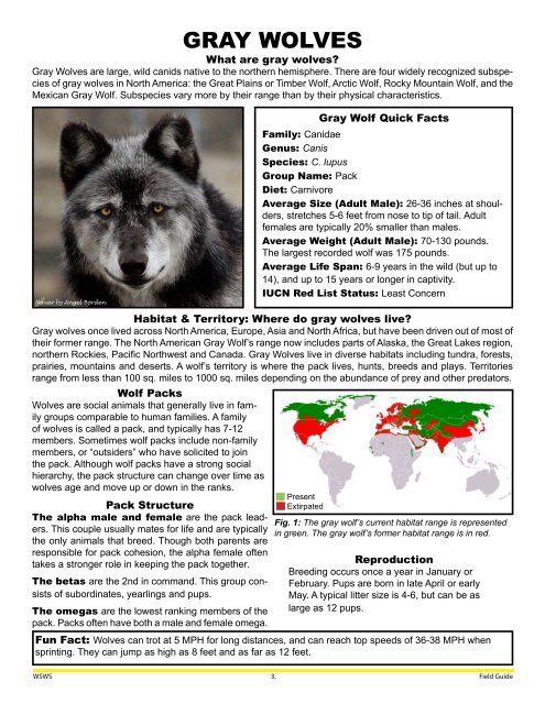 Wild Spirit Wolf Sanctuary Educational Field Guide
