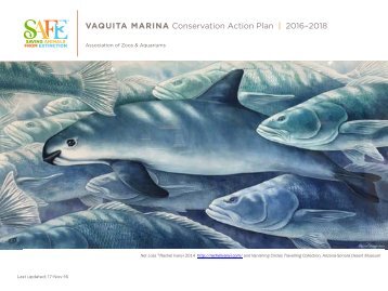 SAFE 2016-2018 Vaquita Conservation Action Plan 11.30.16