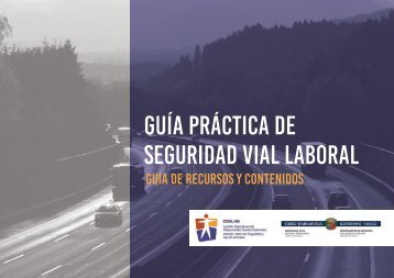 GUíA PRáCTICA DE SEGURIDAD VIAL LABORAL