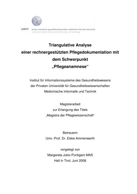 Triangulative Analyse einer rechnergestützten Pflegedokumentation ...