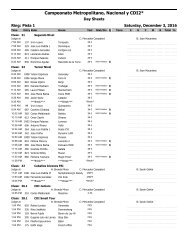 Campeonato Metropolitano Nacional y CDI2*