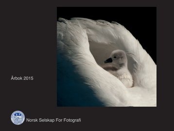 NSFF AARBOK-2015 web