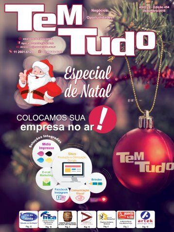 REVISTA TEM