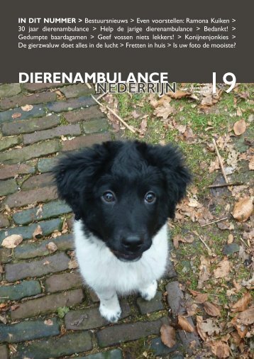 Dierenambulance Nederrijn Magazine - 19