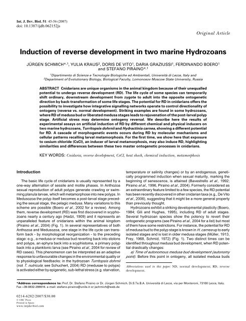 Induction of reverse development in two marine Hydrozoans