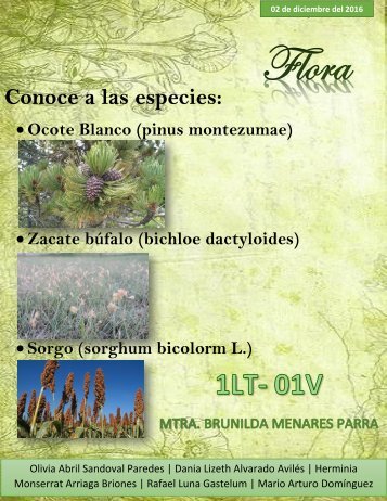 Revista Flora