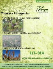 Revista Flora Unidad 3