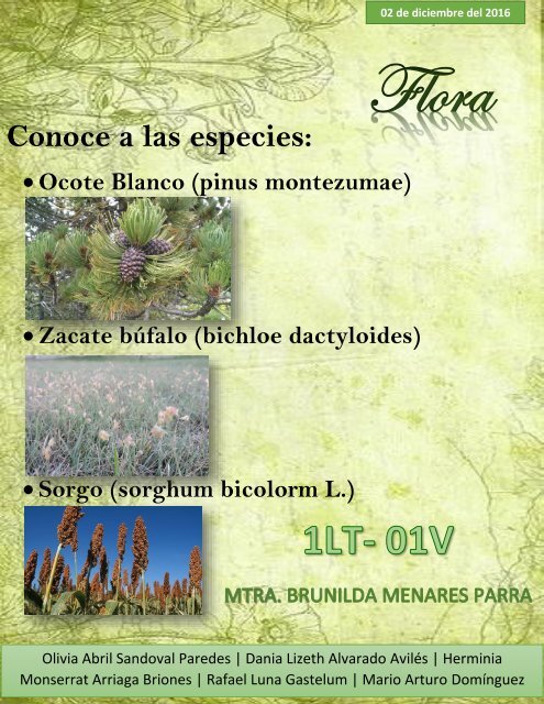 Revista Flora 