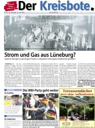 Strom und Gas aus Lüneburg? - Die Kreisboten