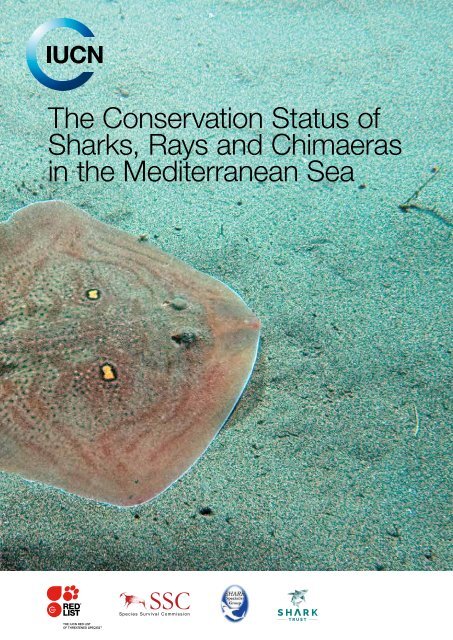 The Conservation Status of Sharks Rays and Chimaeras in the Mediterranean Sea