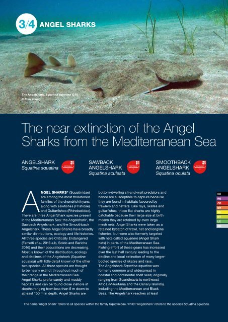 The Conservation Status of Sharks Rays and Chimaeras in the Mediterranean Sea