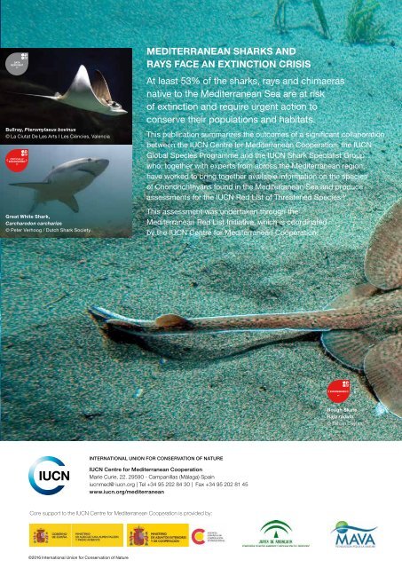 The Conservation Status of Sharks Rays and Chimaeras in the Mediterranean Sea