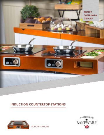 INDUCTION COUNTERTOP STATIONS