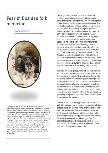 essay about folk medicine