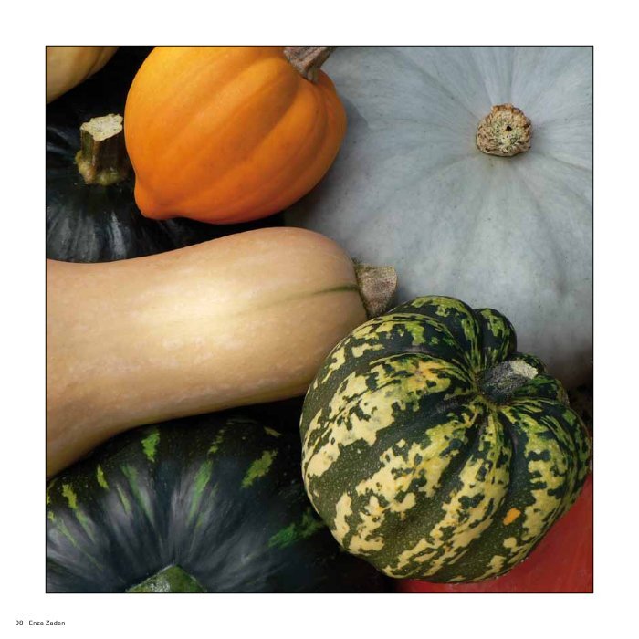 Pumpkin The pumpkin, a me Pumpkin The pumpkin, a me