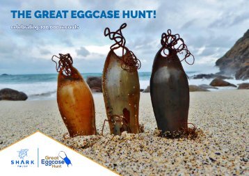 THE GREAT EGGCASE HUNT!