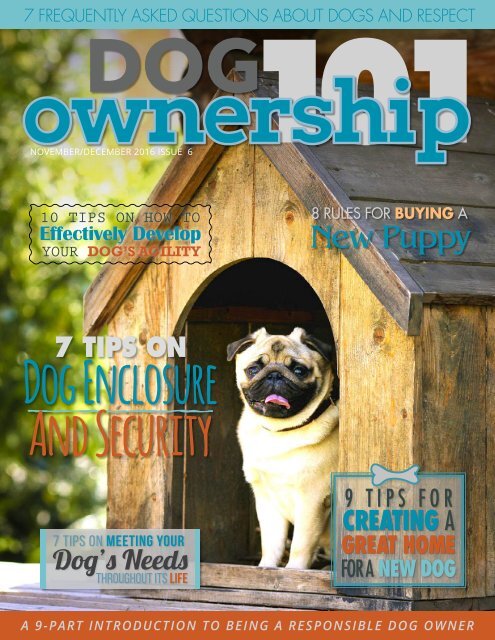 Dog Ownership 101 - November/December 2016