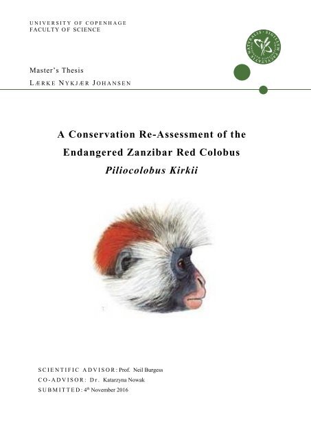 Endangered Zanzibar Red Colobus Piliocolobus Kirkii