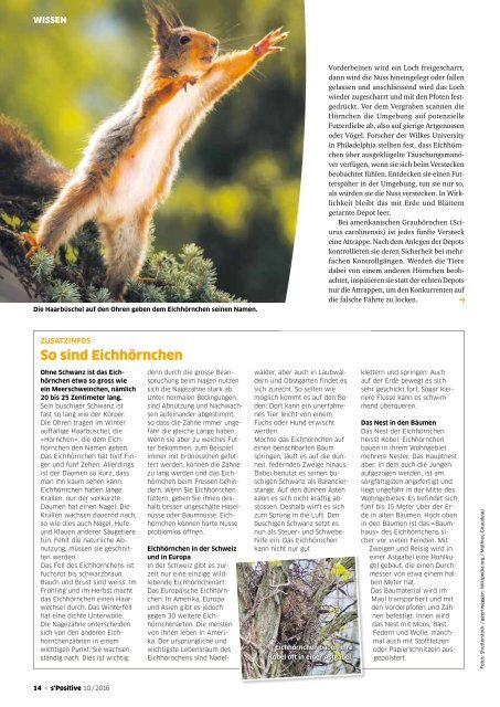 s'Positive Magazin 09.2016