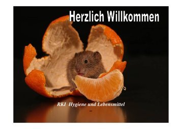 RKI Hygiene und Lebensmittel - VHD