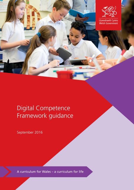 Digital Competence Framework guidance