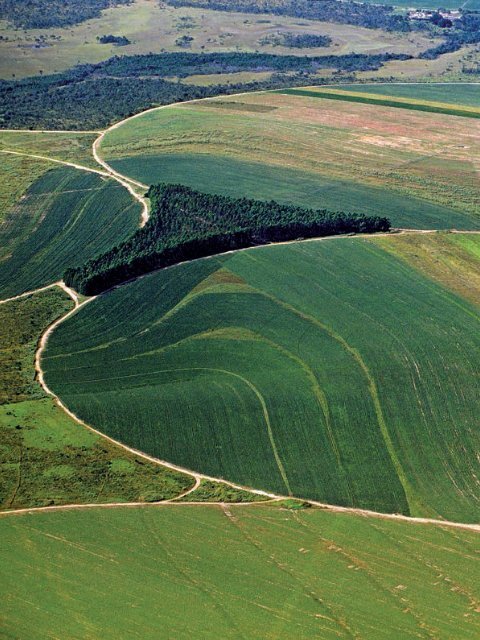 A-expansão-da-soja-no-Cerrado_Agroicone_INPUT