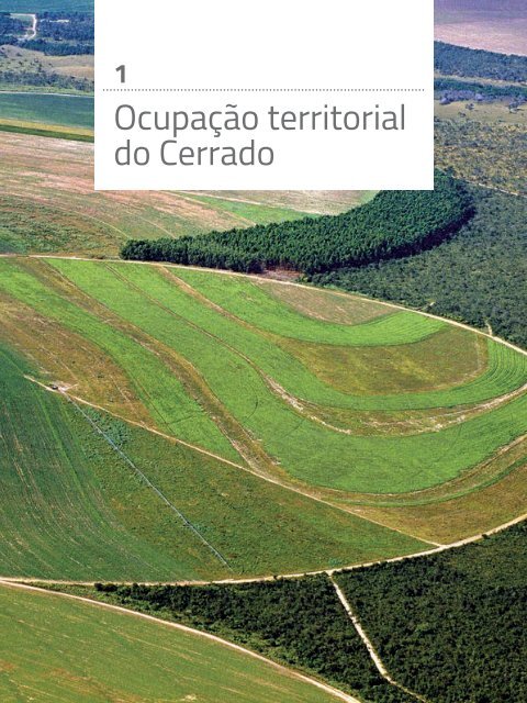 A-expansão-da-soja-no-Cerrado_Agroicone_INPUT