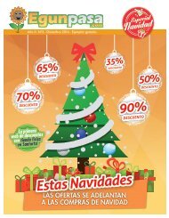 Periódico Egunpasa - Diciembre 2016 