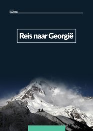Brochure Georgia