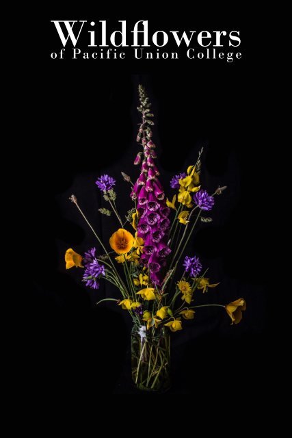 Wild Flowers of Pacific Union College 