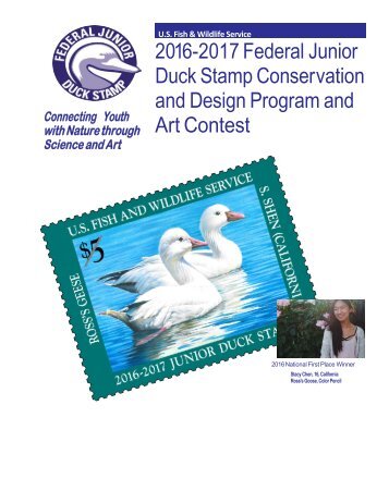 Duck Stamp Conservation and Design Program and Art Contest