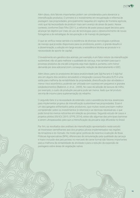 Análise-econômica-de-projetos-de-investimentos-para-expansão-da-produção-pecuária_Agroicone_INPUT