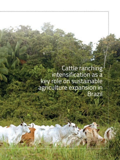 Cattle-ranching-intensification-as-a-key-role-on-sustainable-agriculture-expansion-in-Brazil_Agroicone_INPUT