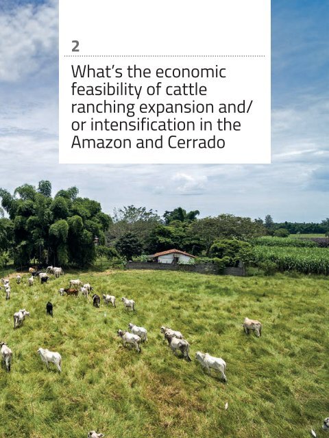 Cattle-ranching-intensification-as-a-key-role-on-sustainable-agriculture-expansion-in-Brazil_Agroicone_INPUT