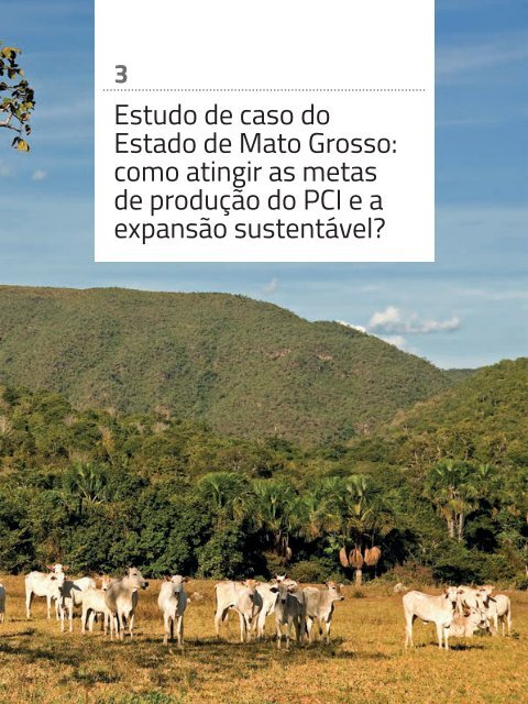Intesificação-da-pecuária-como-peça-chave-na-expansão-da-agropecuária-sustentável-no-Brasil