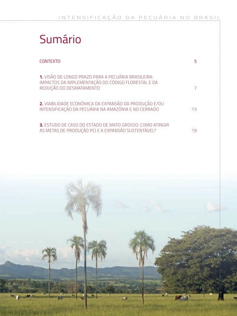 Intesificação-da-pecuária-como-peça-chave-na-expansão-da-agropecuária-sustentável-no-Brasil