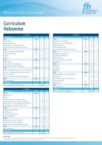 Curriculum Hebamme (PDF Download) - FH Gesundheitsberufe