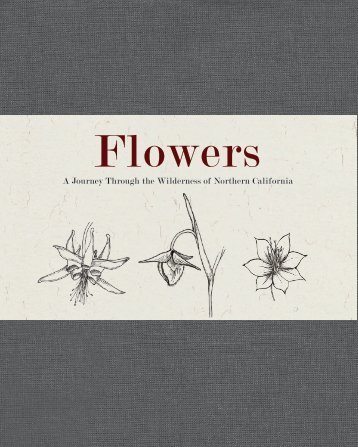 Flowers: A journey Through the Wilderness of California.