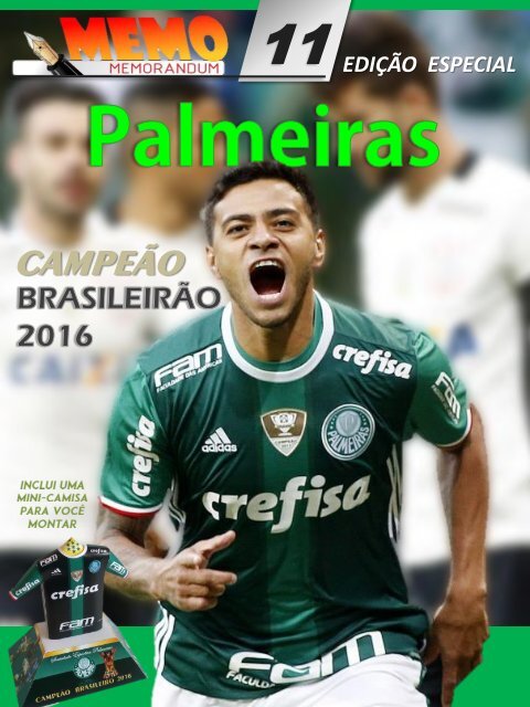 Palmeiras 2016 - A trajetória de um campeão