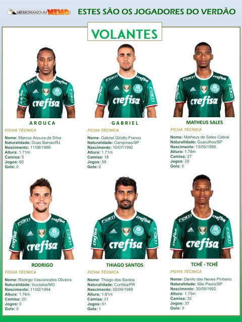 Palmeiras 2016 - A trajetória de um campeão