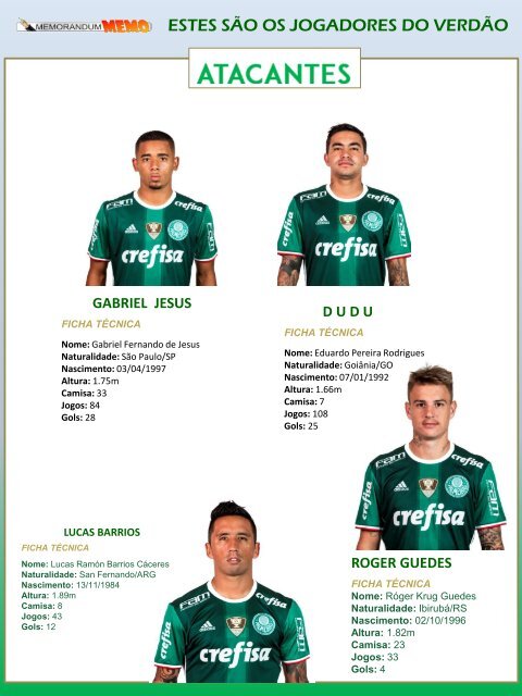 Palmeiras 2016 - A trajetória de um campeão