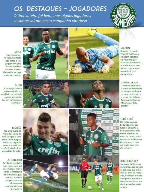 Palmeiras 2016 - A trajetória de um campeão