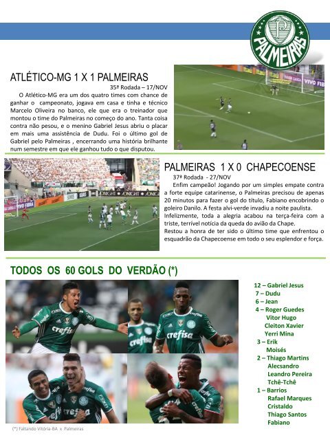 Palmeiras 2016 - A trajetória de um campeão