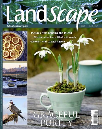 LandScape sampler Jan/Feb 17