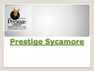 Prestige Sycamore